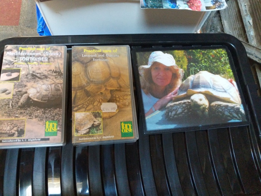 tortoise videos and mouse mat
