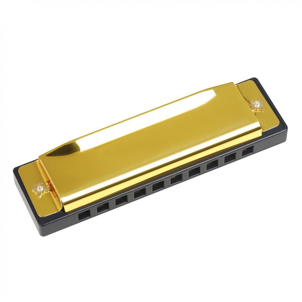 10 Hole 20 Tone KeyC Diatonic Harmonica with Case Gift for Beginner