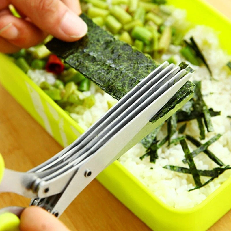 5-Blade Stainless Steel Scallion Cutter - Multi-Layer Herb & Kitchen Scissors