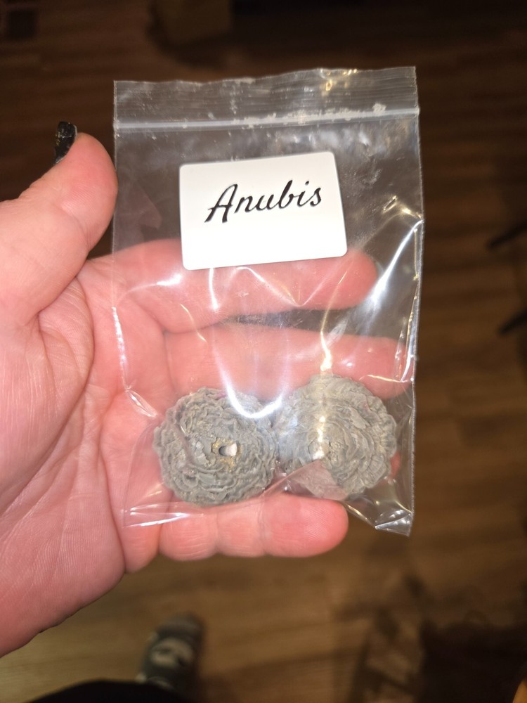 ANUBIS CUSTOM FLORAL TEALIGHT CANDLES