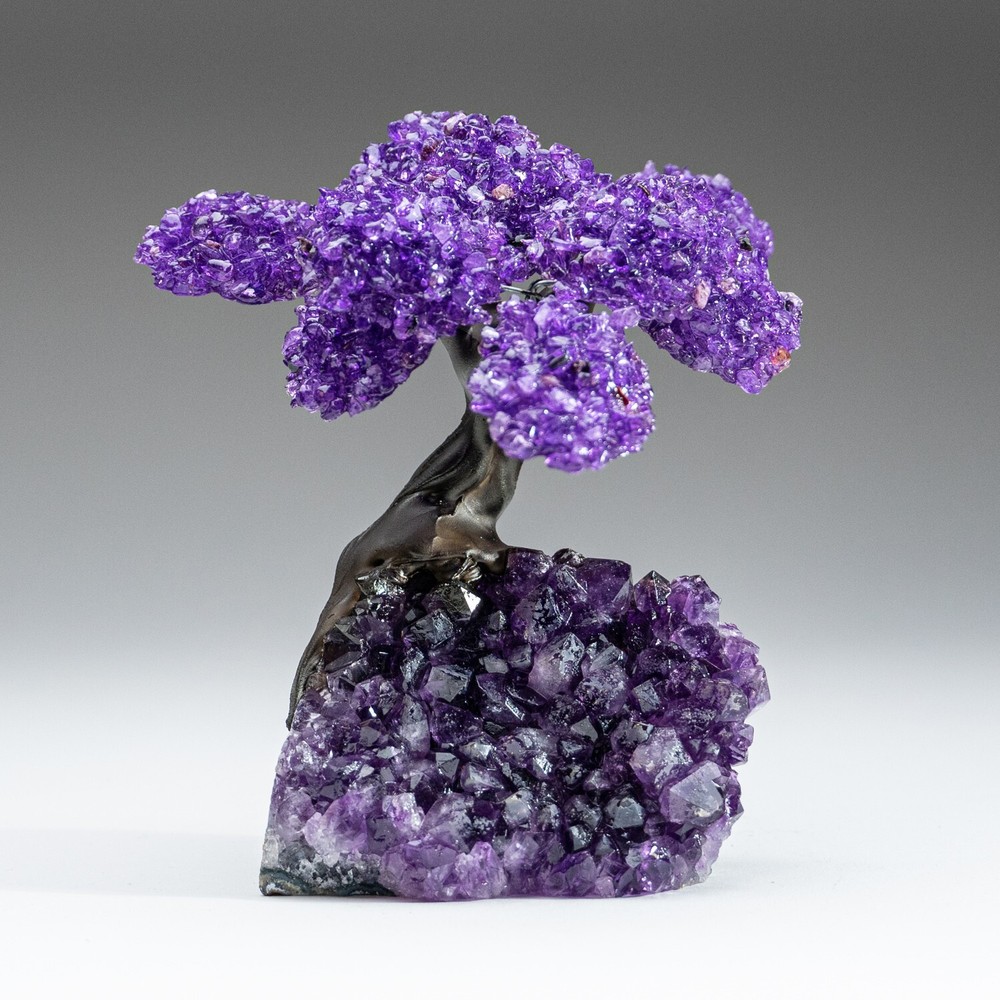 Medium - Amethyst Clustered Gemstone Tree on Amethyst Matrix