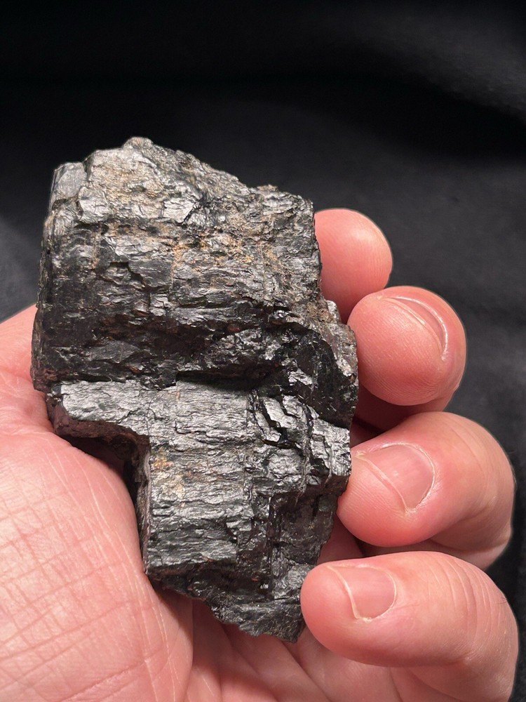 Lower Eagle Ford Cretaceous Coal Zone- Carbonized Dinosaur Age Material, Texas