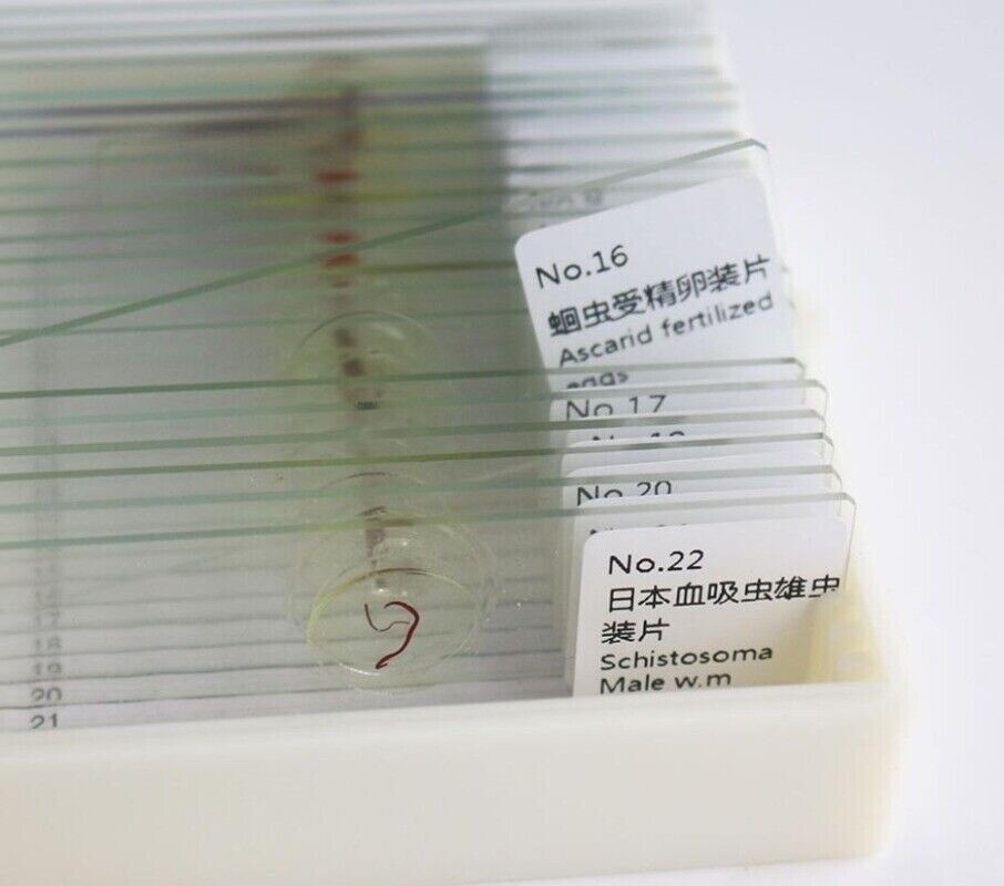 Parasites Microscope Specimen Slides for Parasitology Teaching Research 25pcs