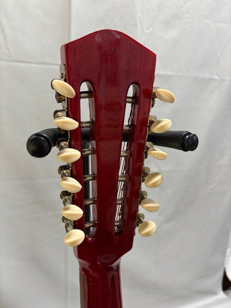 Oscar Schmidt Stella 12-string (1920s)