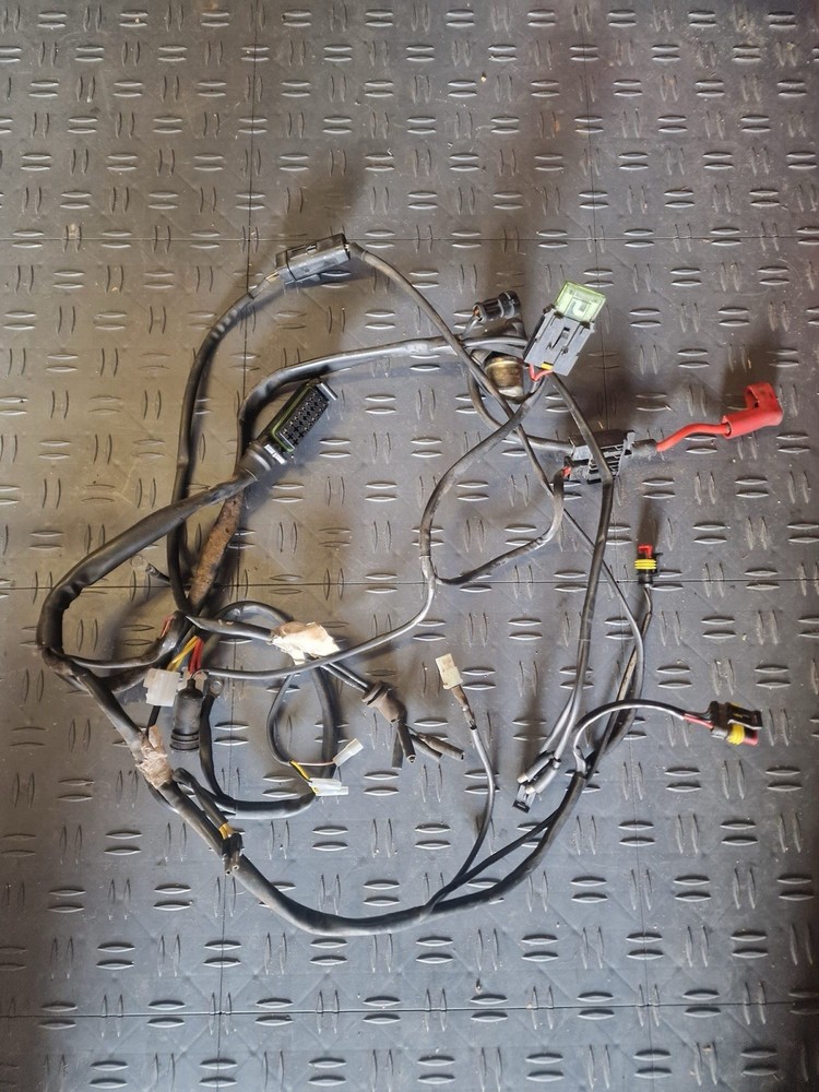 Ducati 600 SS Wiring Loom