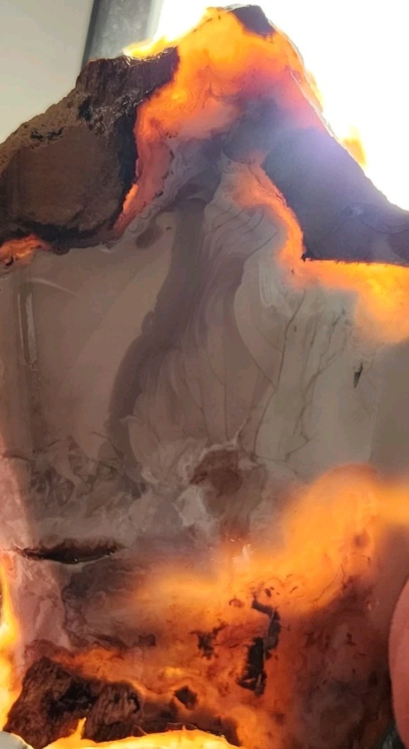 Buchanan Thunderegg - Porcelain Jasper With Orbs High Quality Lapidary, OR. 52g