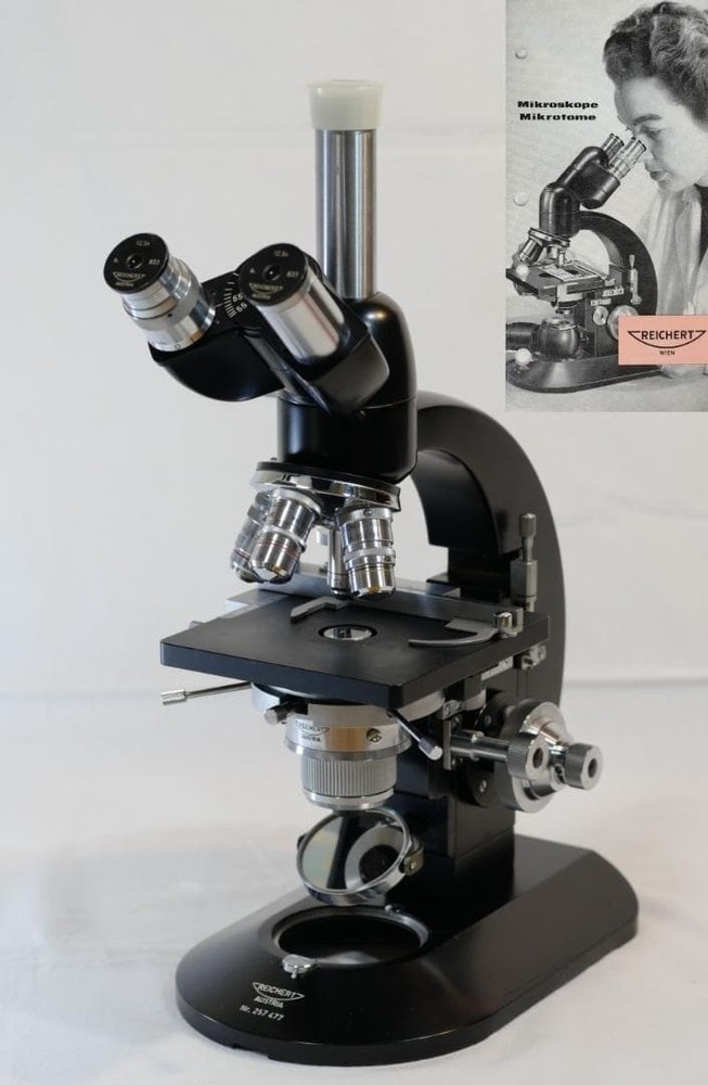 Carl Reichert's phase contrast microscope (BIOZET)