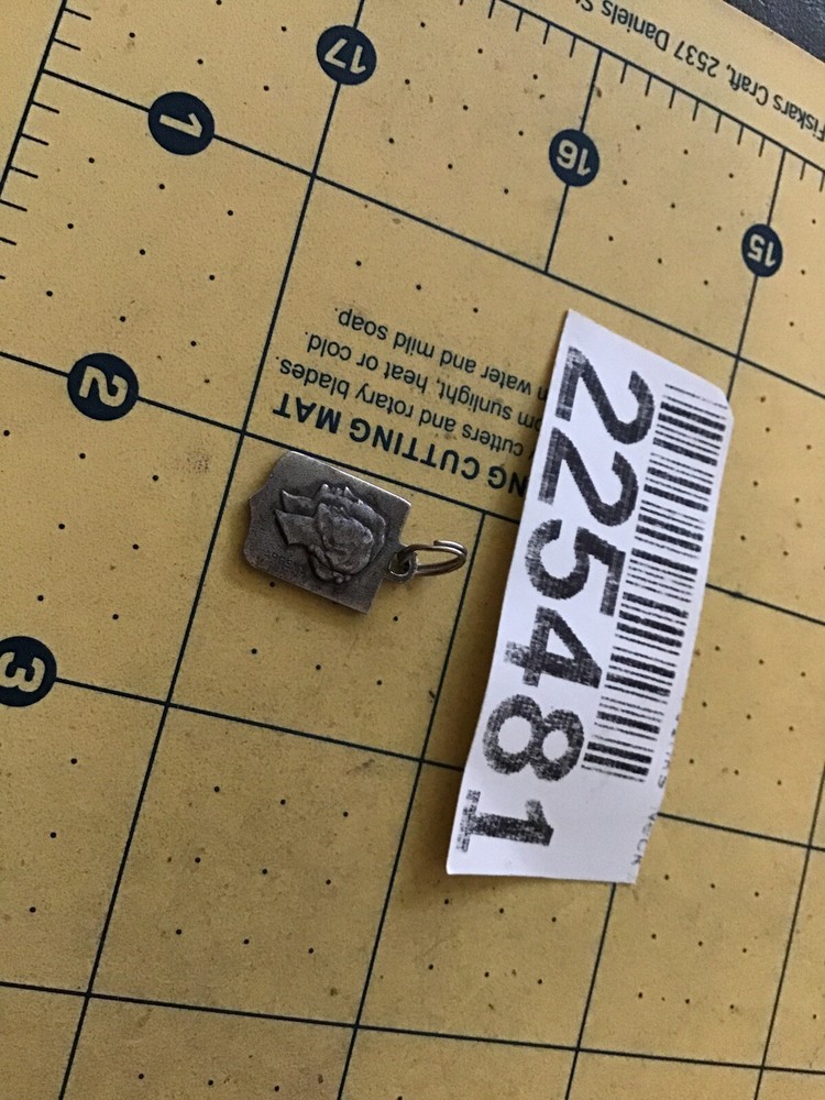 Vintage MONACO ~ SMALL SHIELD ~ Silver & ENAMEL Charm