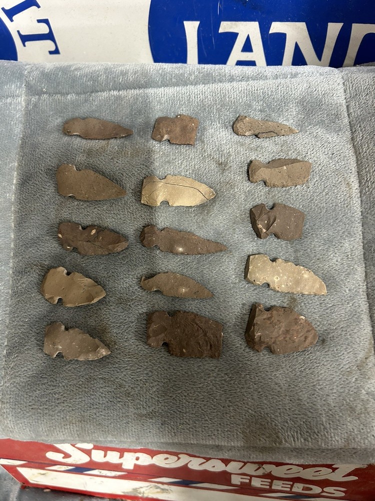 15 Piece Arrowhead Collection Assortment