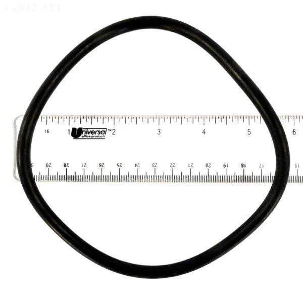 Lid O-Ring