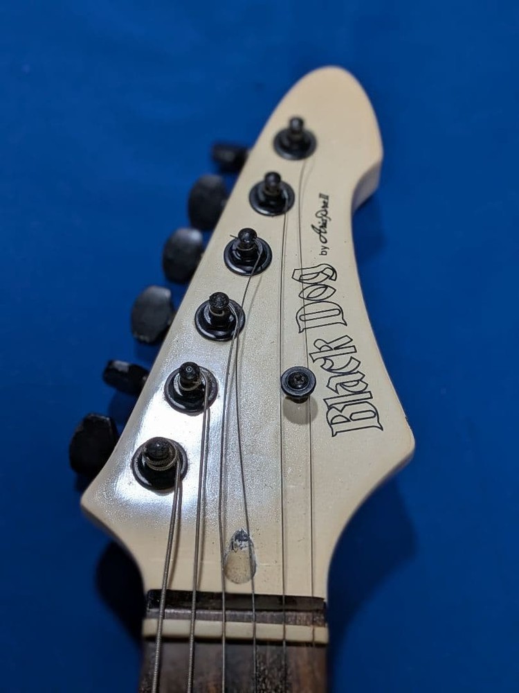 Aria Pro II Black Dog White Arm Case No Issues