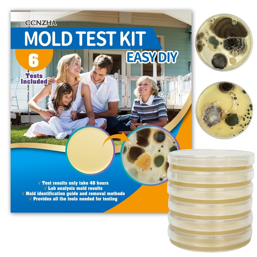 Home Mold Test Kit - 6 Tests, Black Mold Detector, Free Lab Analysis