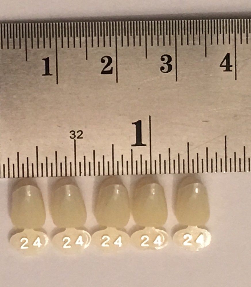 Dental Polycarbonate Temporary Crowns  5 pcs #24