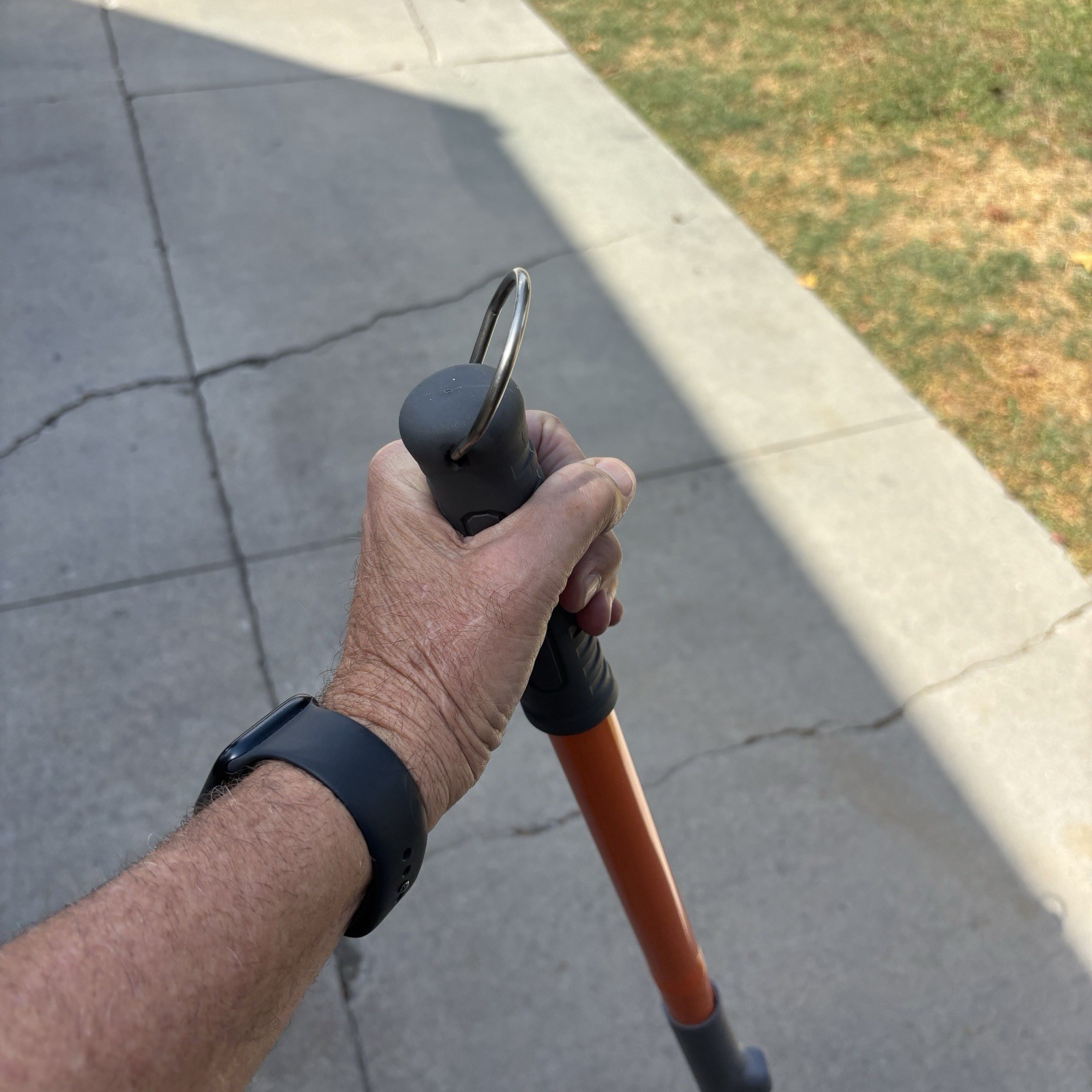 Nut Gatherer Pecan Acorn Golf Ball Harvester Garden Roller Picker