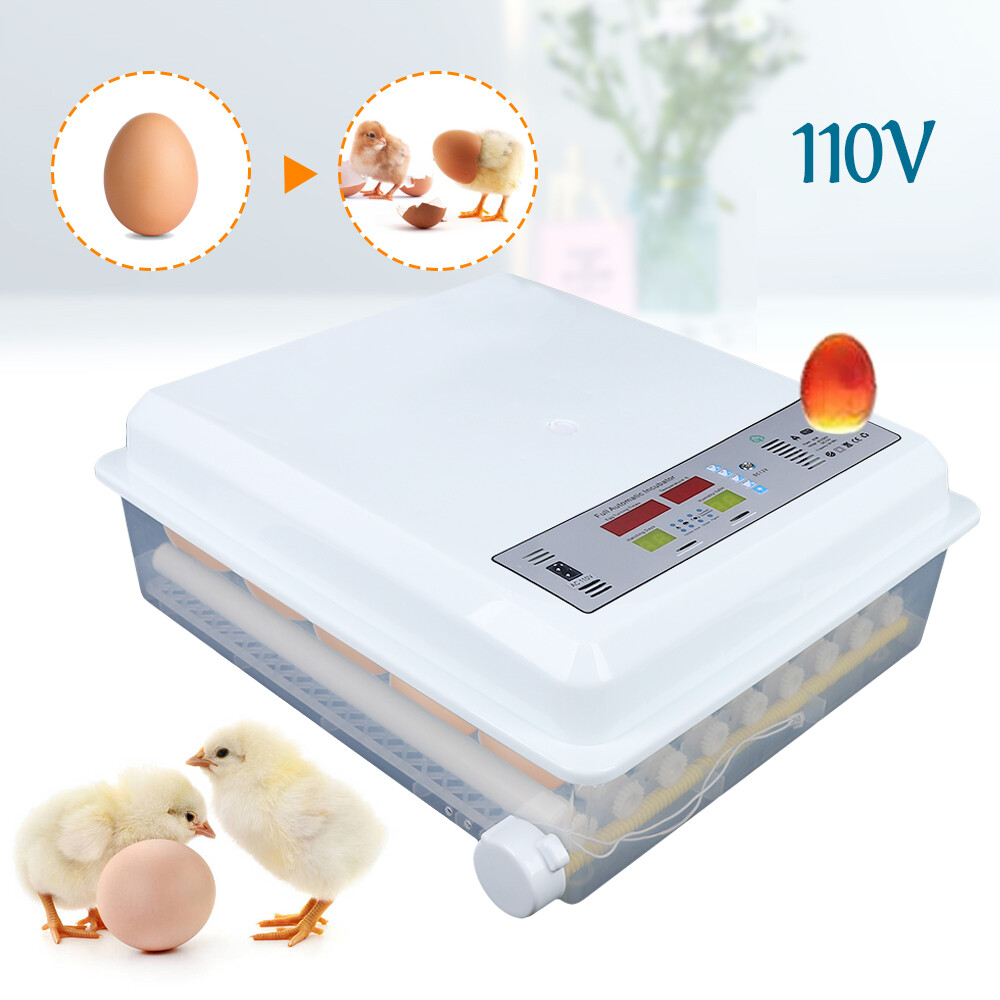 64-Egg Digital Incubator with Temperature Control & Automatic Turner