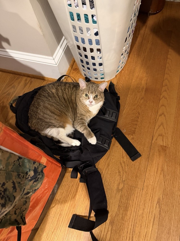 BLACKHAWK! 3 Day Assault Pack READ!