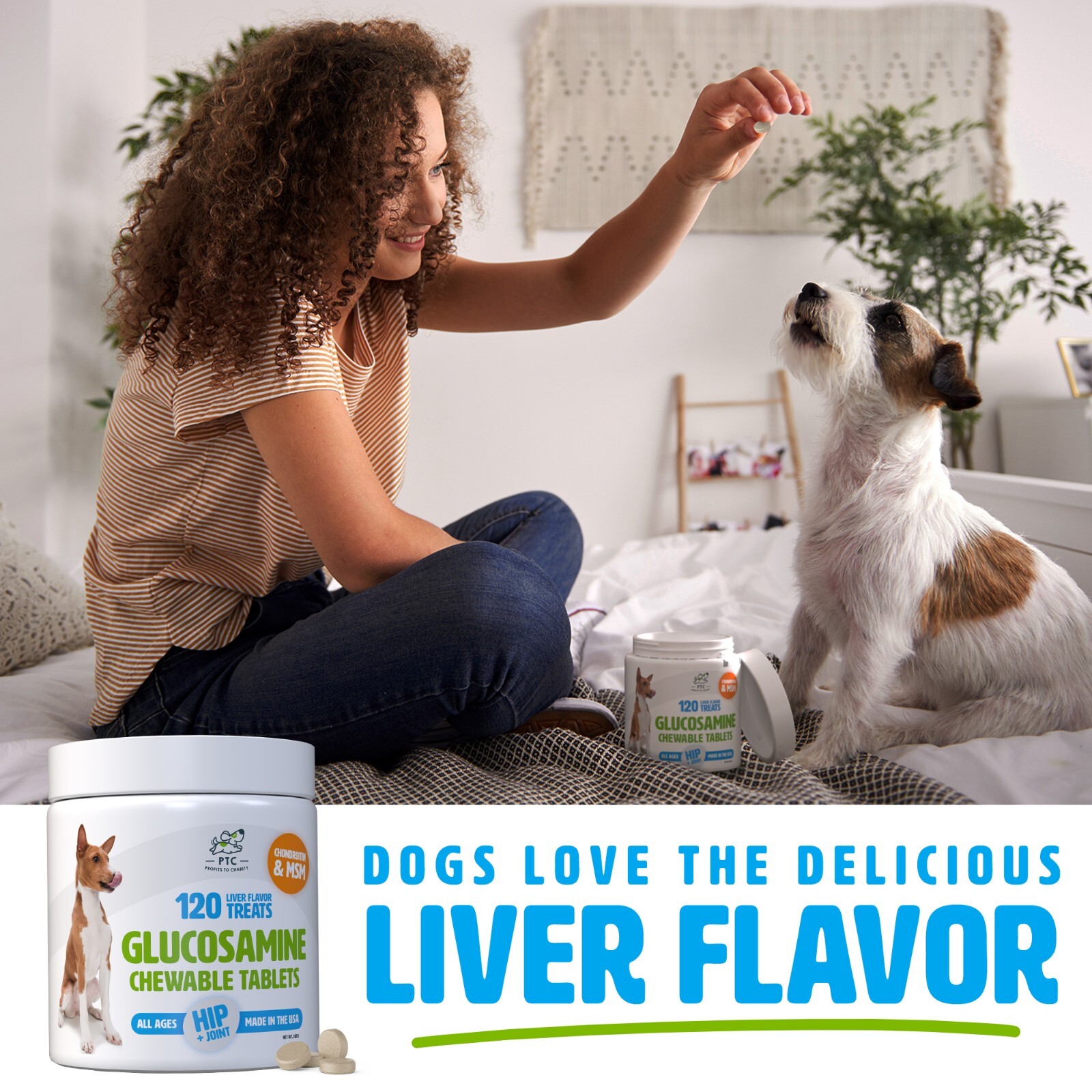 Glucosamine Chondroitin with MSM for Dogs , Hip and Joint Support