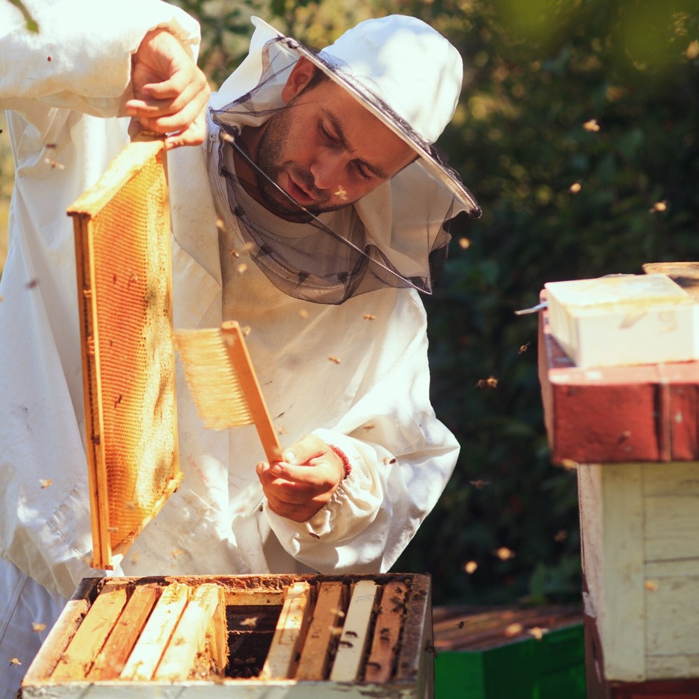 Beekeeping Beehive Frame, Wired Beeswax Foundation, Deep Assembled Amish Made
