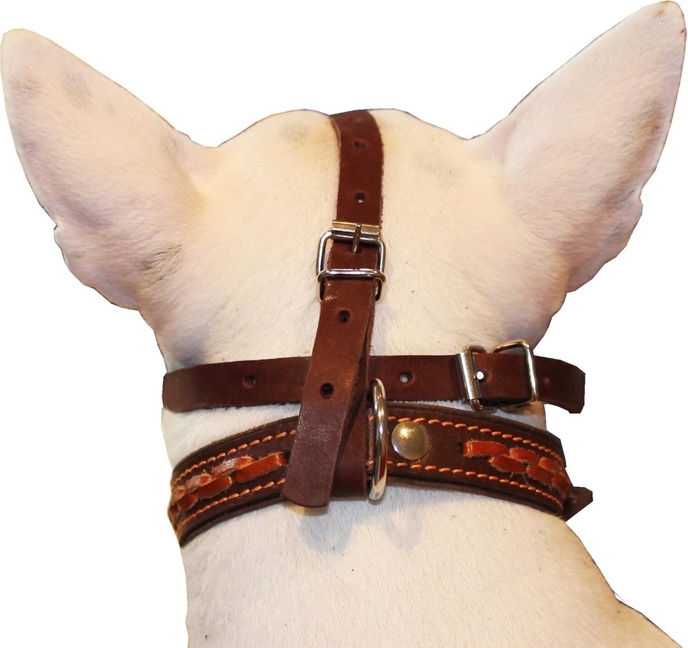 Genuine Leather Mesh Basket Secure Muzzle #143, German Shepherd, Labrador, Husky