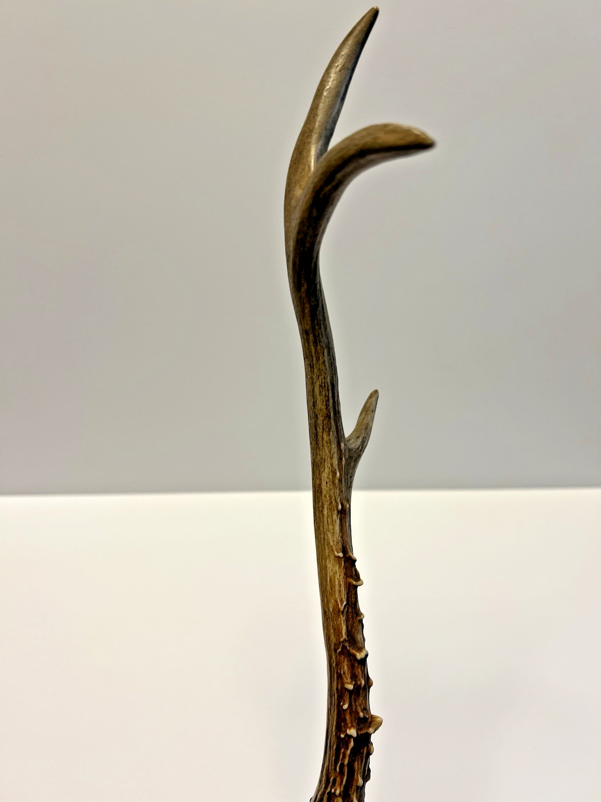 Antique Original Native American Indian Ceremonial Deer Antler Brush;