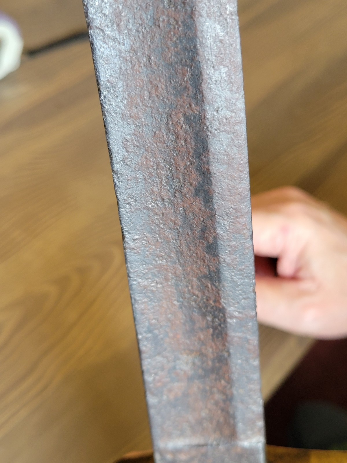 Napoleonic War-Civil War French Saber Cut-Down