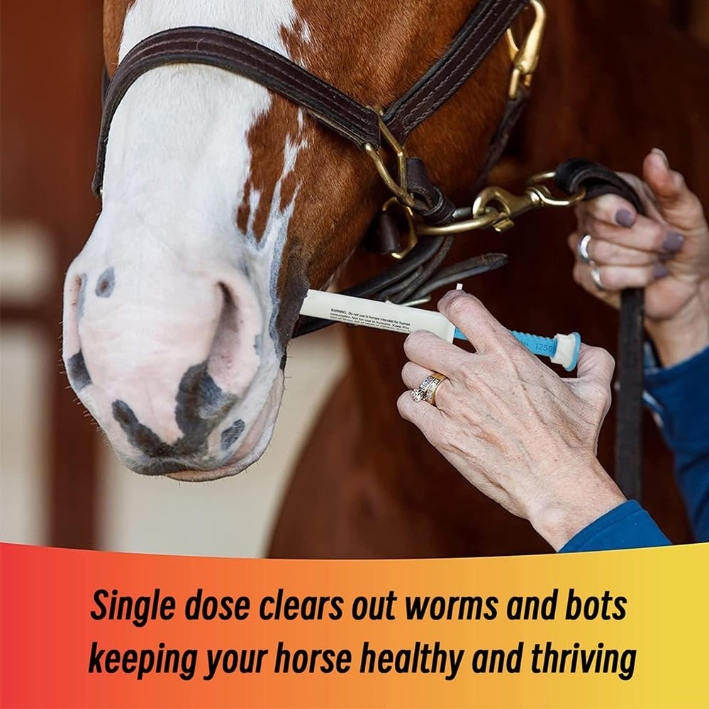 Horse Dewormer Paste 20-Pack Apple Flavor1/2028