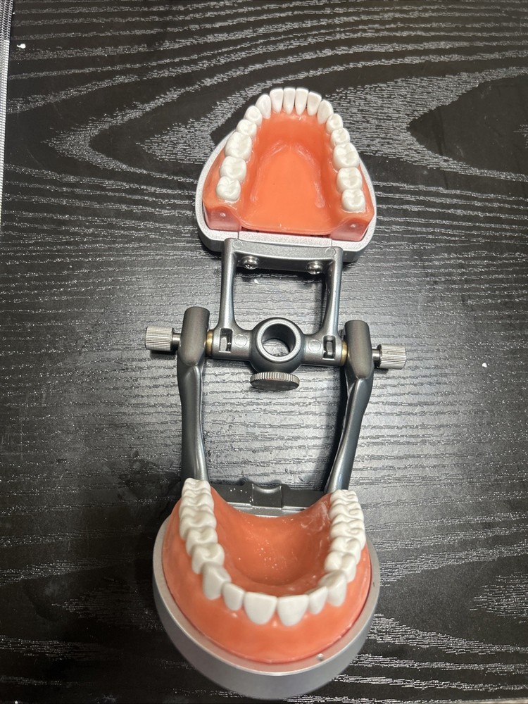 Acadental Optioned MP_R320