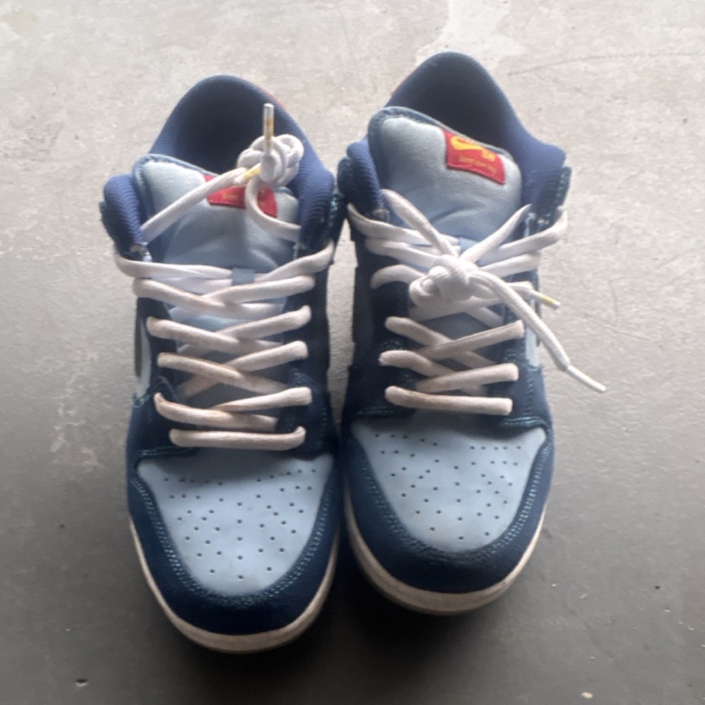 Nike SB Blue Skateboarding Shoes