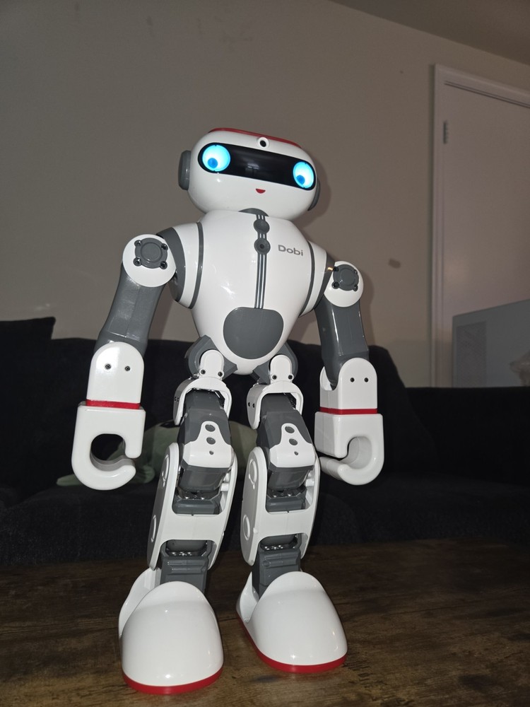 RARE WLtoys Dobi Humanoid Robot