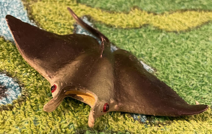 Manta Ray - Small Polyvinyl AAA