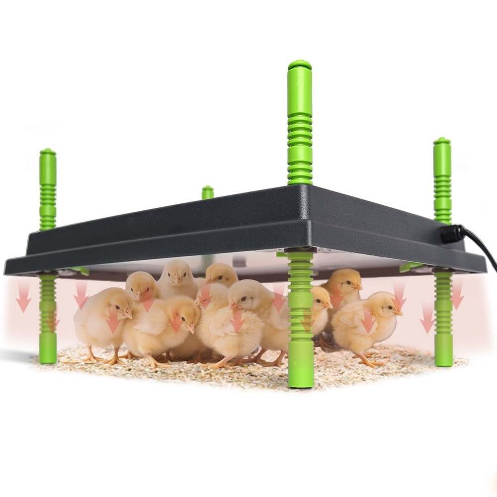 Chick Brooder Heater Plate 12"x16" Adjustable Temp Display 30W for 40 Chicks