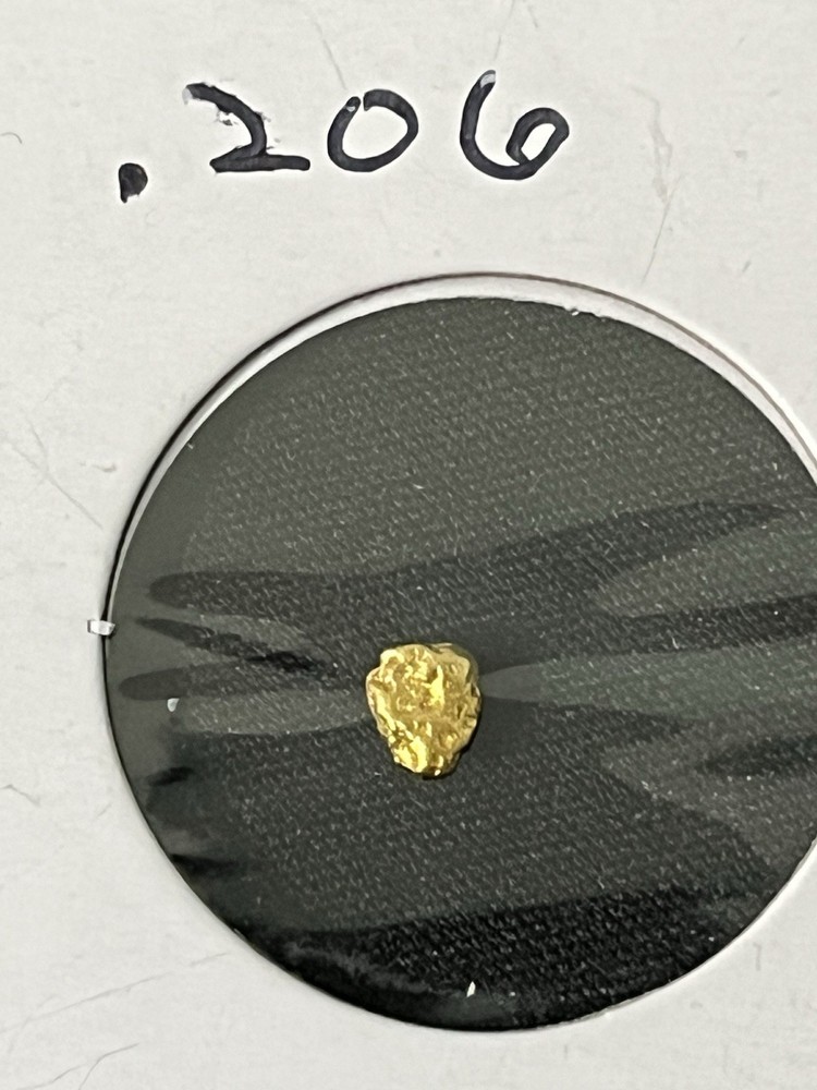 .206 Gram Natural Gold Nugget