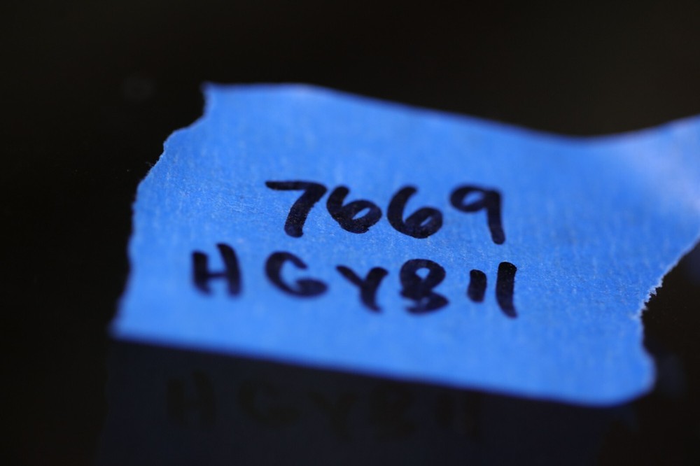 Olympus WK 10X/20L Microscope Eyepiece Pair