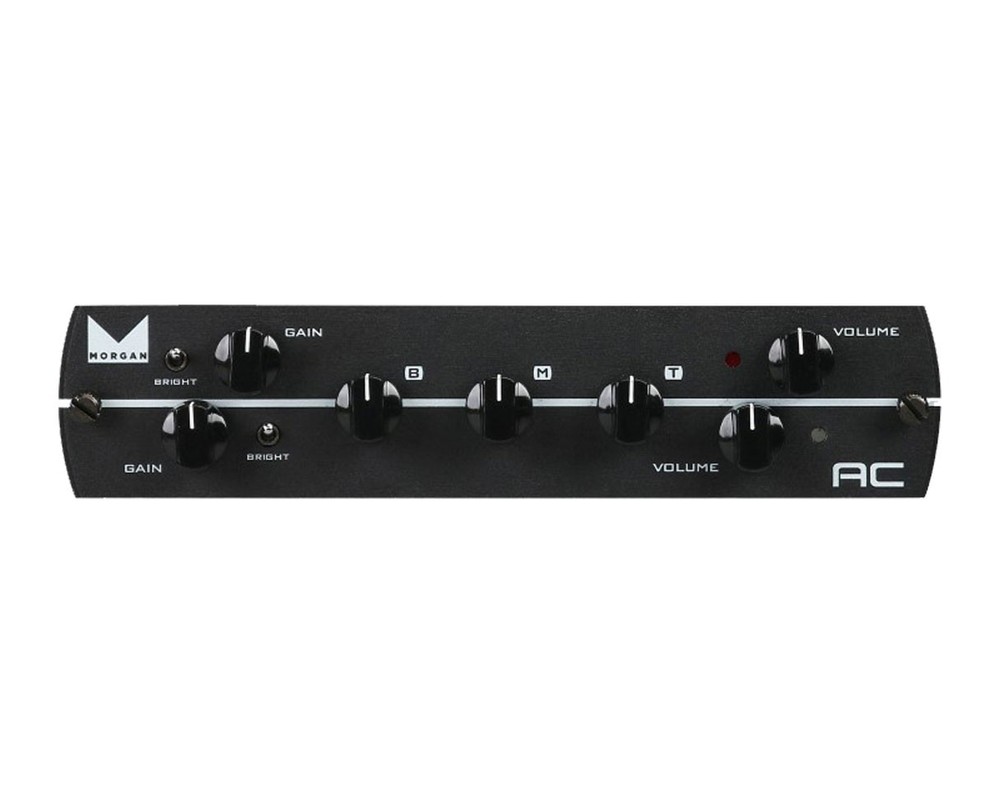 Synergy Morgan AC 2 Channel Preamp Module - Based on AC20