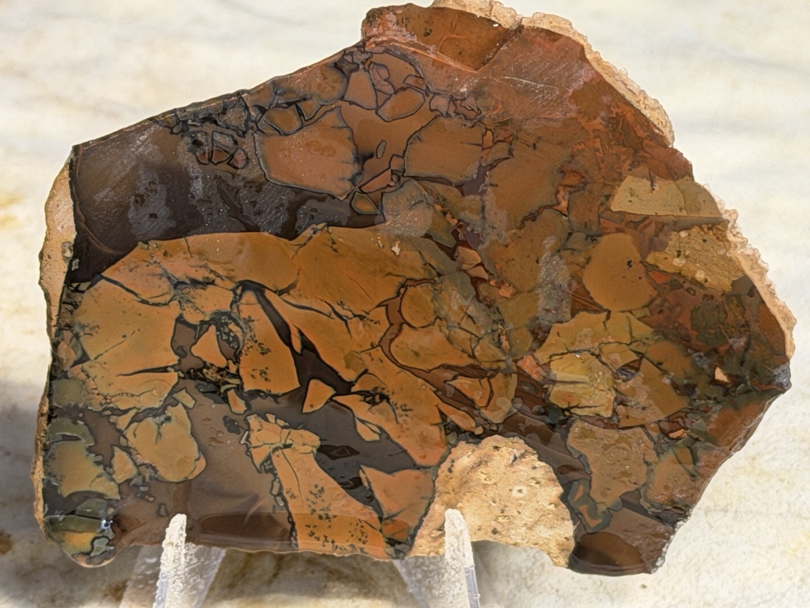 Whiskey Creek Jasper Slab Set, Lot #311