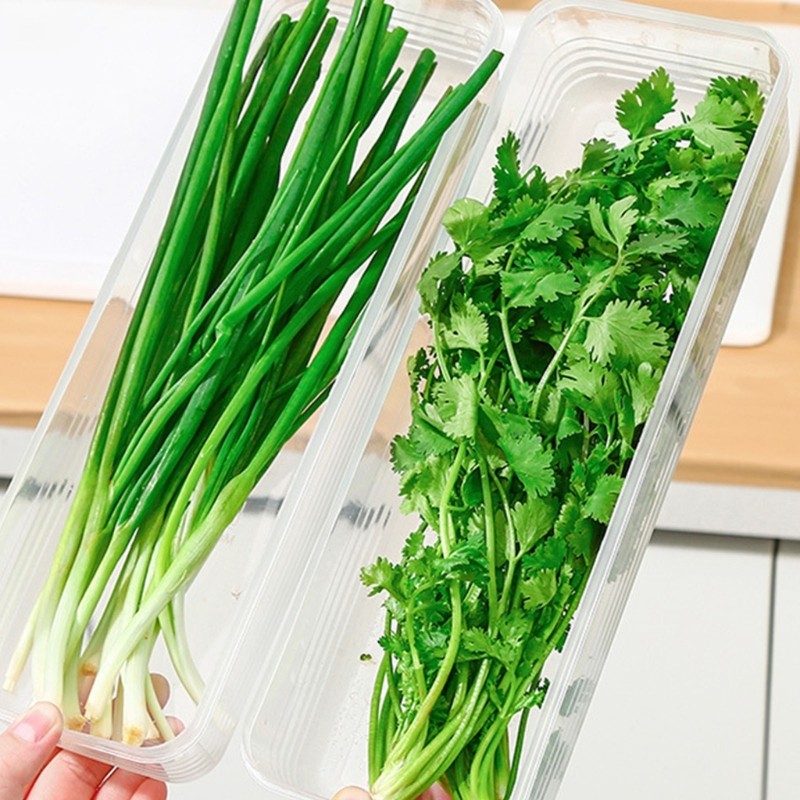 Sturdy Long Rectangular Grade Plastic Storage Box For Kitchen Organization