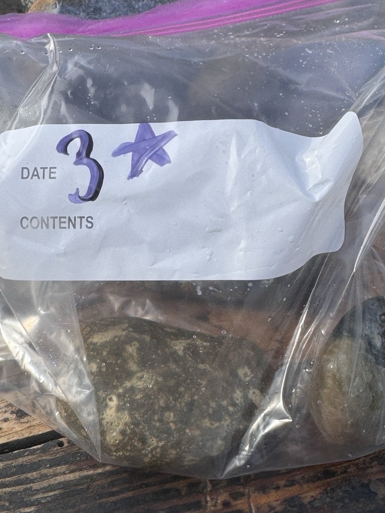 Rocks for Tumbling Lapidary Material Rough