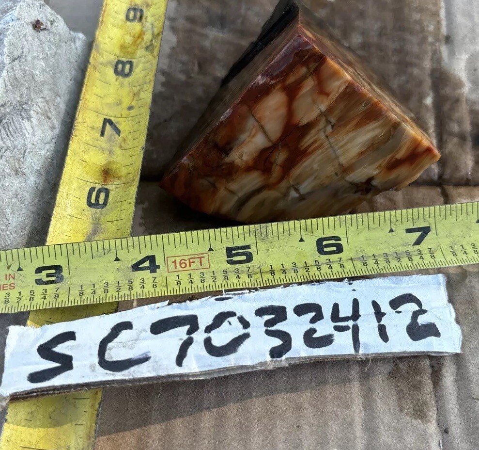 Silver Creek Junction petrified wood