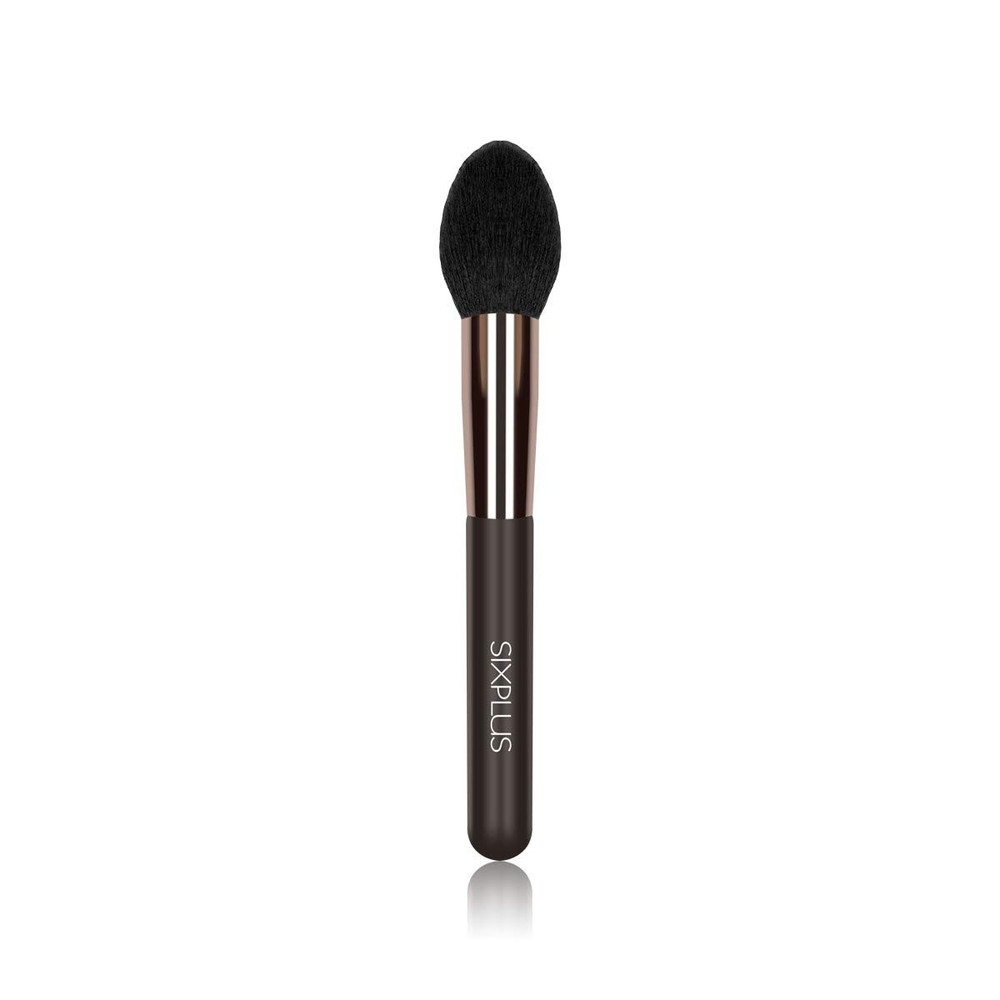 SIXPLUS Multi-Function Makeup Brush Cheek Powder Blush Nylon Coffee Brown