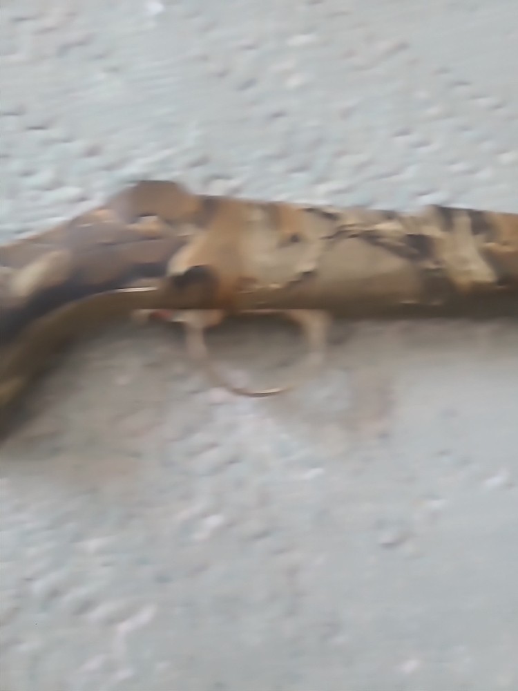 CVA Eclipse Hunter Muzzleloader Rifle stock 50 cal Buttpad Trigger Guard Camo