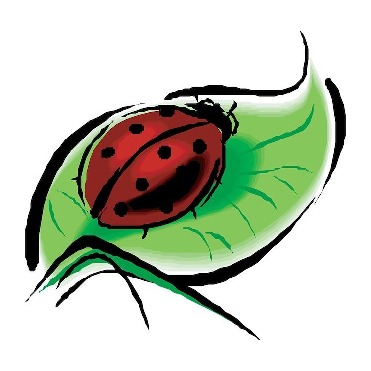 CafePress Ladybug On A Leaf 10" Wall Clock (154329408)