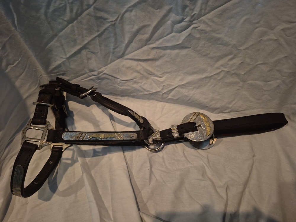 Western Full Size Show Halter