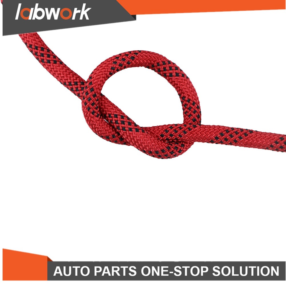 Labwork 3/8" × 100' High Strong Braid Polyester Rope Arborist Tree Rope