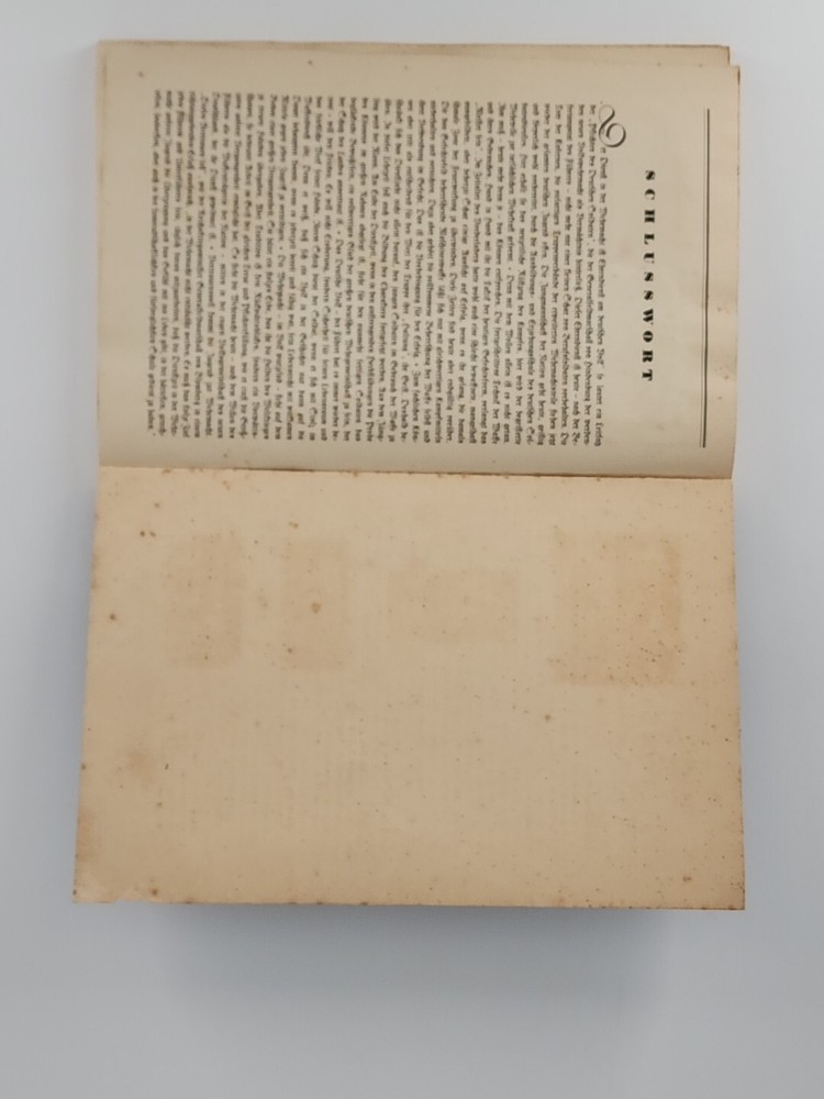 Das Deutrche heer im Manover