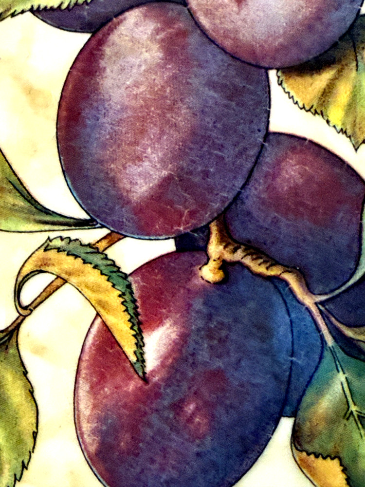 Vtg HiMark Italy Ceramic Dinner 10" Plate Plums Pattern