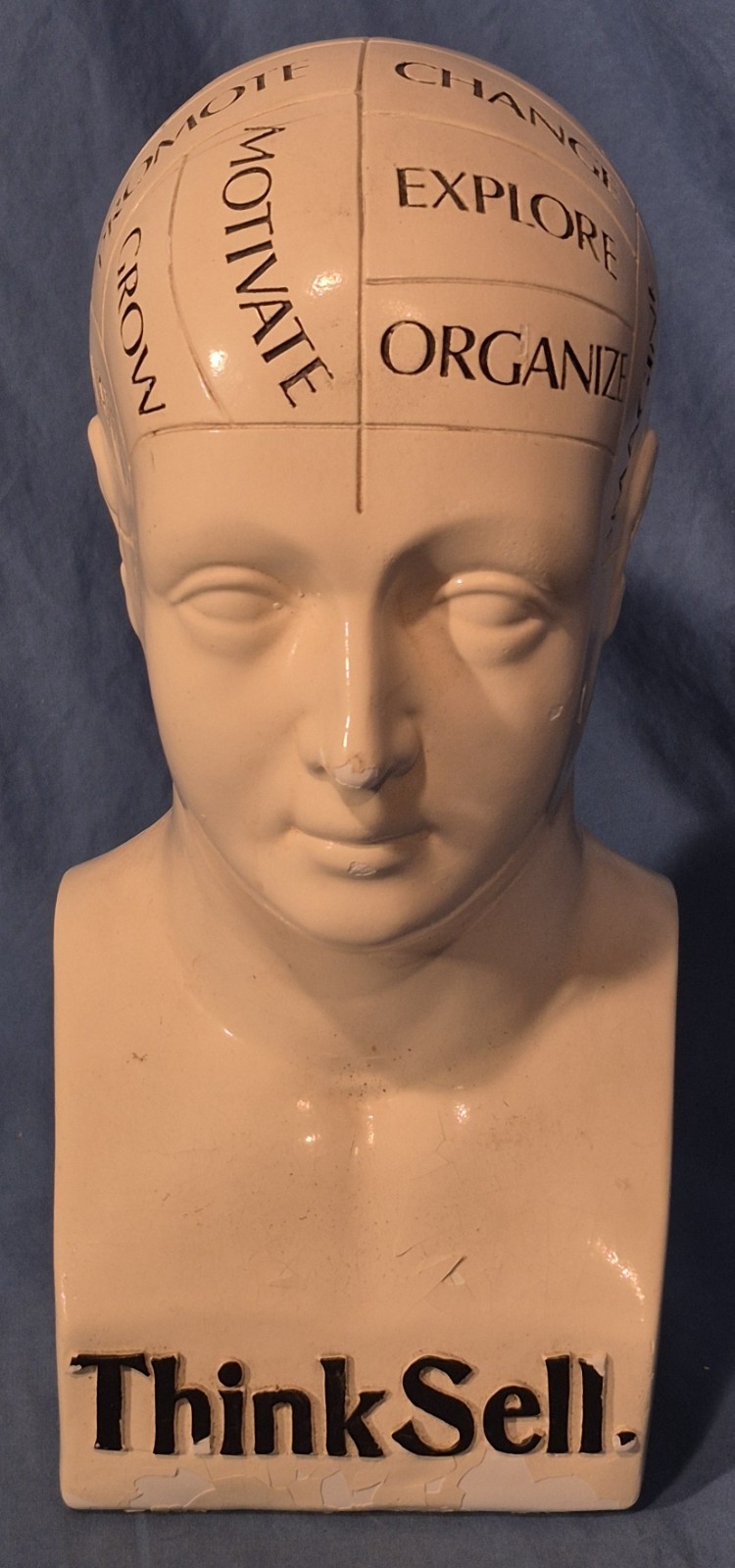 Vintage 11" Phrenology Bust / Head Statue, Chalkware (?), Scientific Psychology