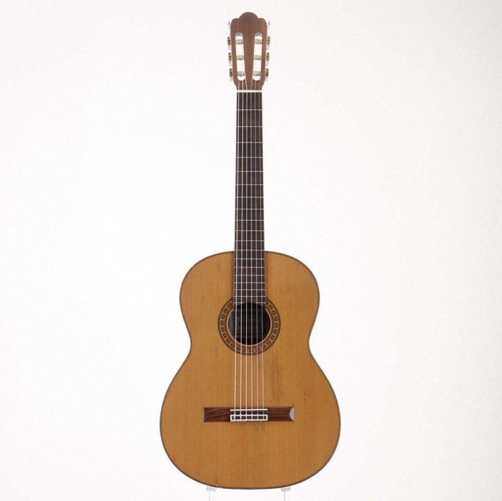 Asturias Classical Guitar with Hard Case