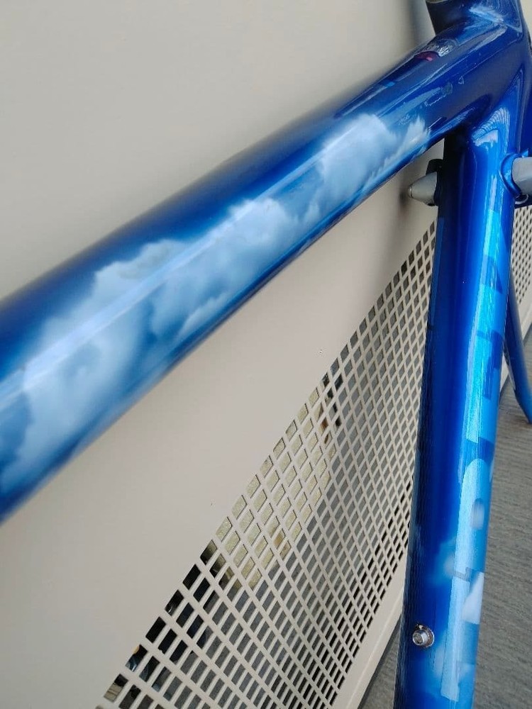 Trek Madone SSL Full Carbon Road Frame 520mm