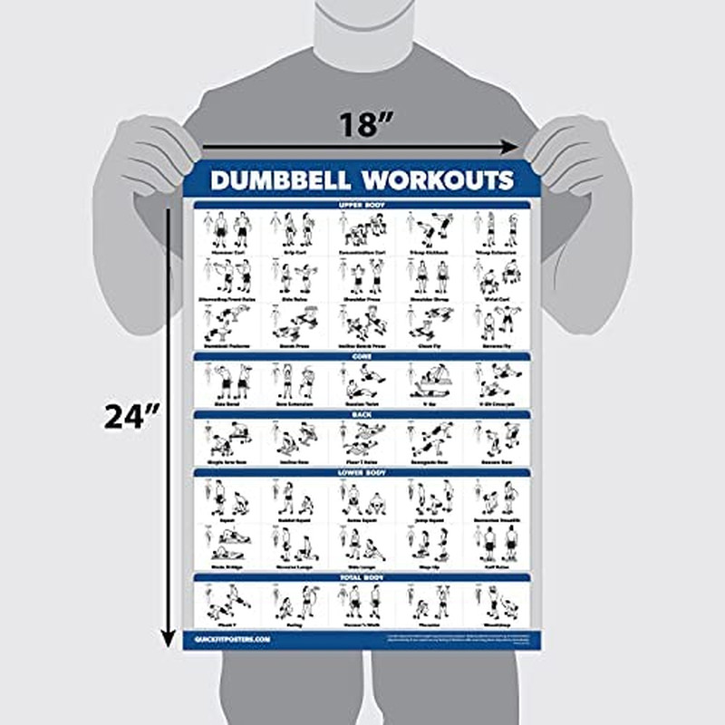 Learning 3 Pack - Dumbbell Workouts + Barbell Exercises + Cable Machine Workouts