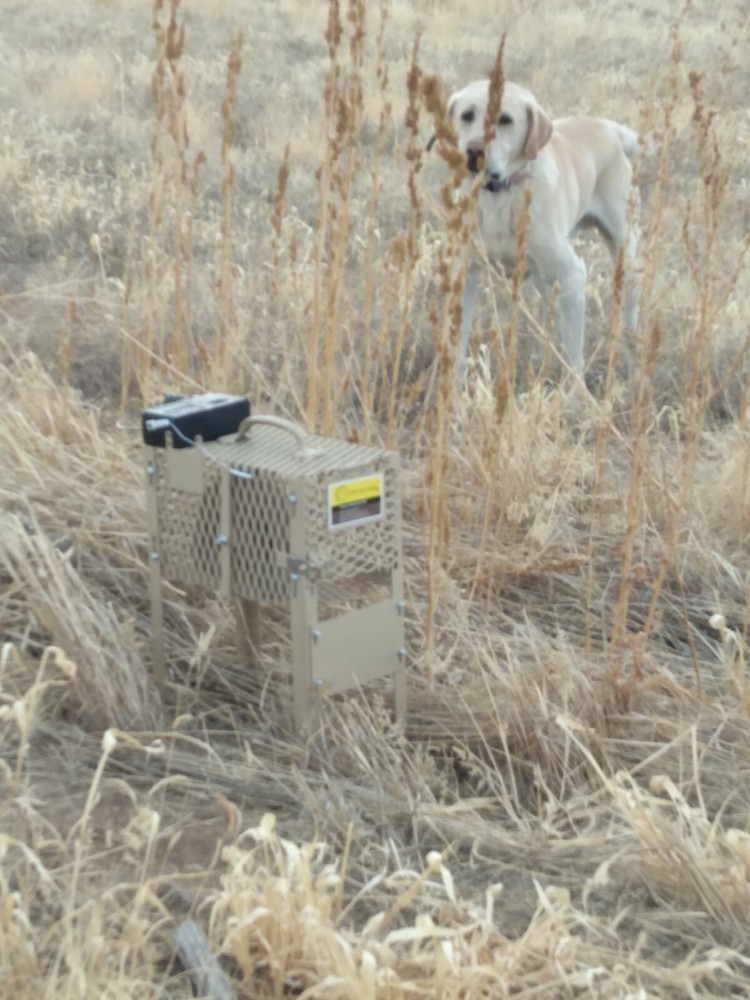 Cody Hunt Gear Upland Bird Release